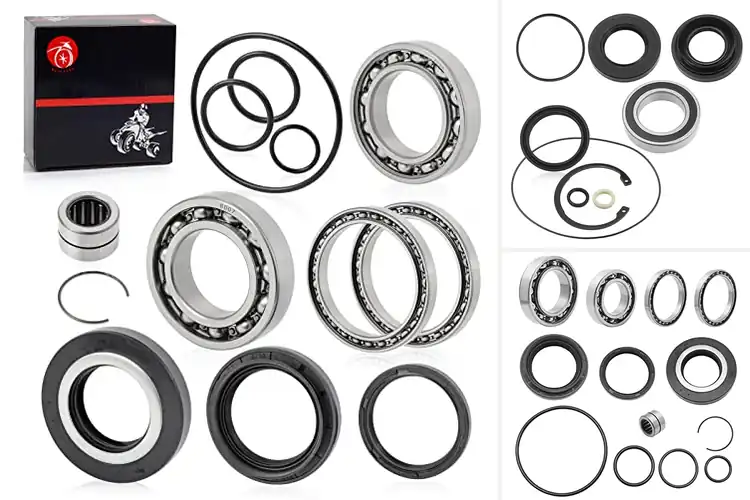 Detailed view of Best 6009 Bearing For Rancher 420