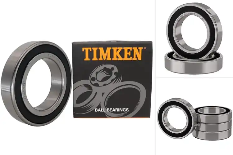 Detailed view of Best 6009 Bearing