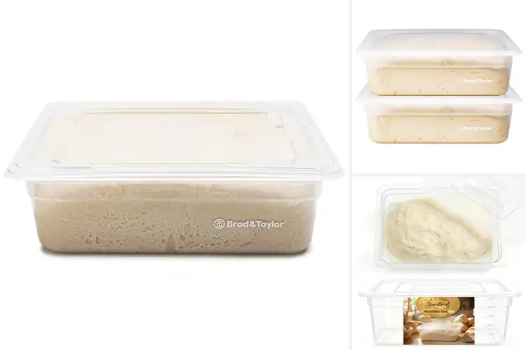 Detailed view of Best bread dough proofing containers