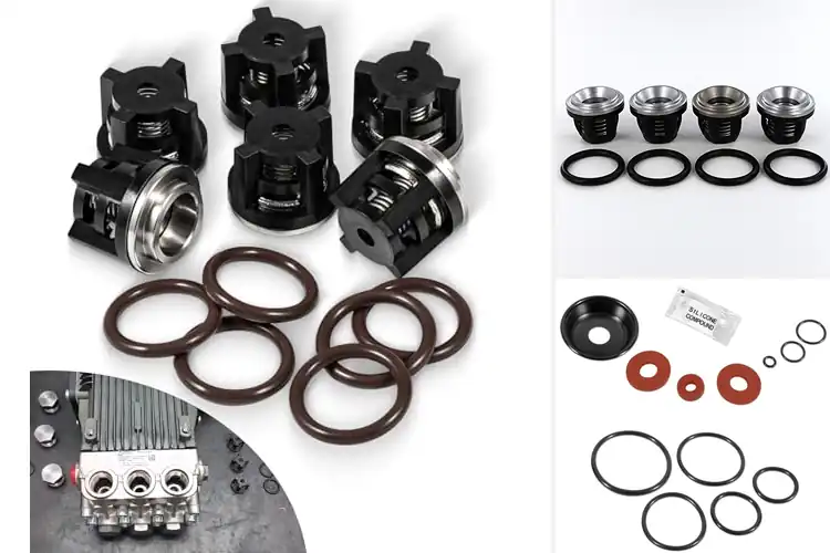 Detailed view of Best Check Valve Seal Kit With O-Rings And Diaphragm