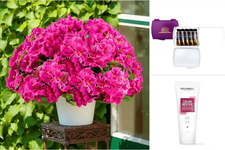 Detailed view of Best Color Retention Colors: 9 Vibrant Shades That Last