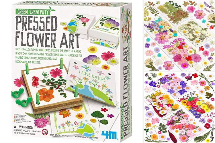 Detailed view of Best DIY Flower Making Kits