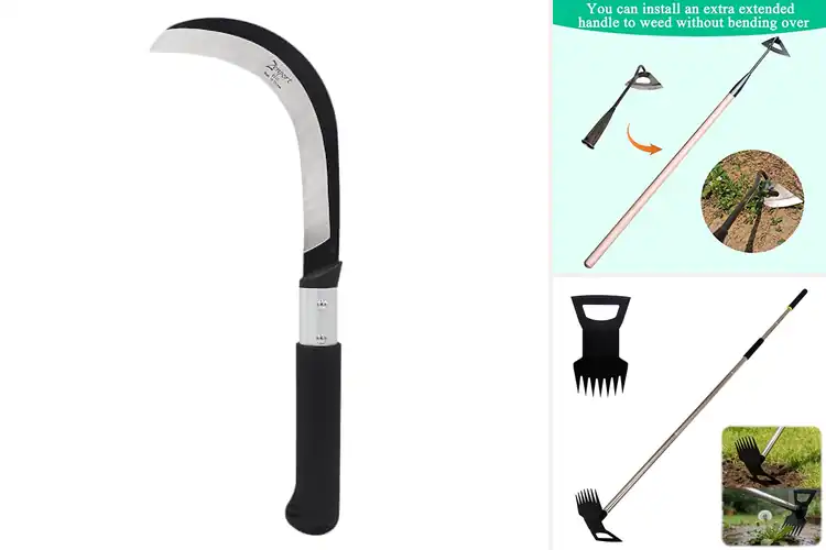 Detailed view of Best Garden Clearing Tools