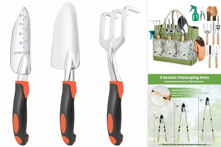 Detailed view of Best Gardening Tools: Top Picks for a Thriving Garden