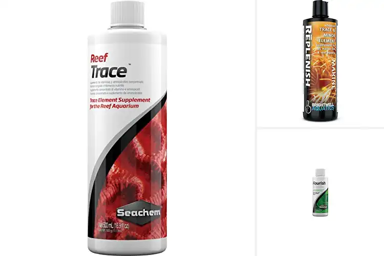 Detailed view of Best Tank Elements